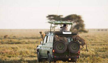 Amboseli Sgr Safari Package
