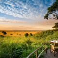 Kenya Safari Holiday Packages