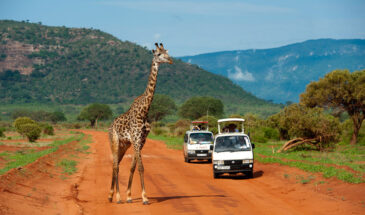 TSAVO EAST AND WEST