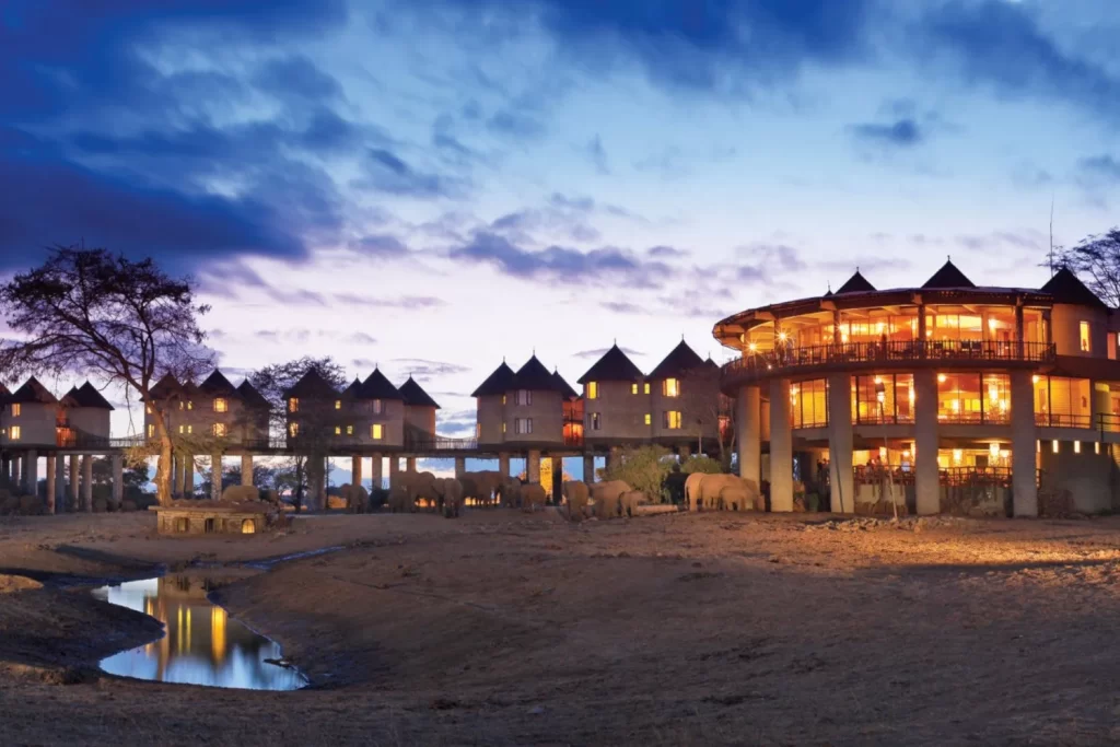 3 DAYS TSAVO EAST AND SALTLICK LODGE