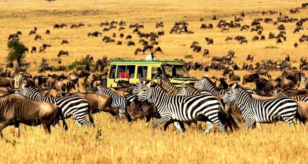 5 Days wildlife Adventure – Nairobi